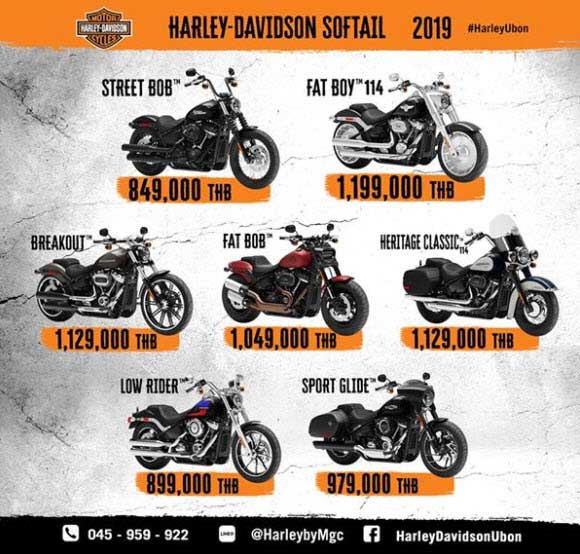 Harley Davidson 2019